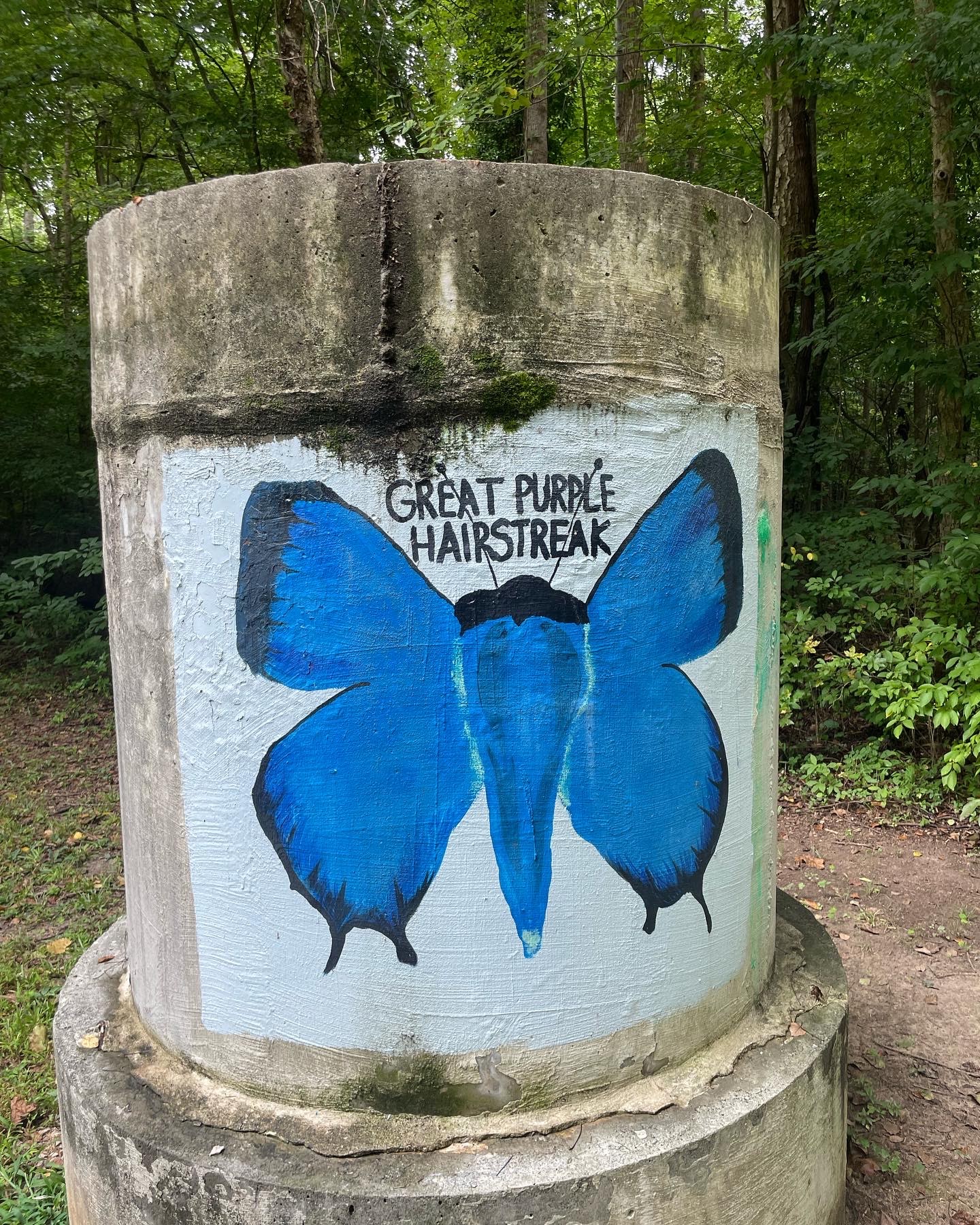 **Crabtree Creek Trail, Raleigh, NC**